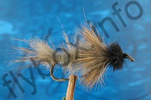 Fish4Flies Casual Dress